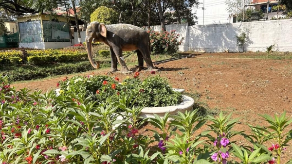 Flower show at Chitradurga from February 2, 2024 Know details