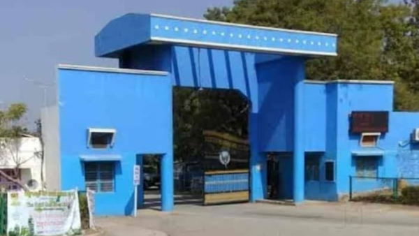 Decision to produce additional gold in Hatti Gold Mine Company