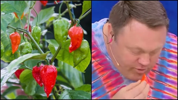 This Man Sets Guinness Record by Eating 10 Worlds Hottest Peppers in 33 Seconds