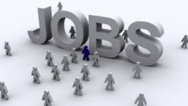 IIMB Recruitment 2024: Interested Candidates Apply for The IIMB Many Consultant Post, details