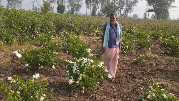 Success in Jasmine Flower Farming: Raichur Model Farmer