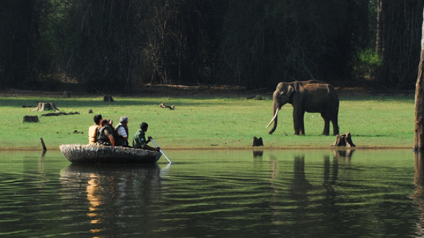 Kabini Trip Plan For Weekend Getaways From Bengaluru