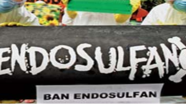 Scodwes Called For Investigation Into Disposal Of Endosulfan Barrels