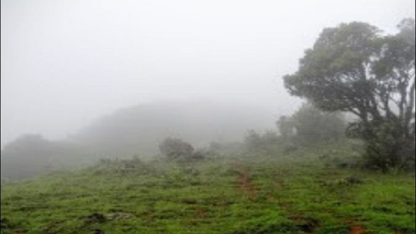 Travel News: You Know The Specialty Of Kodagu Nishani Motte
