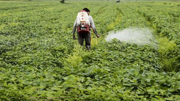 Nagdenahalli, Konaghatta, Kodihalli farmers protest by blocking the highway
