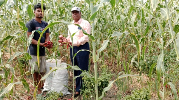 Mixed Cropping Koppal Farmer Success Story