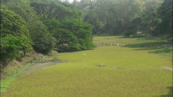 How Was The Sculpture Of Anjaneya Found In Lakshmana Tirtha?