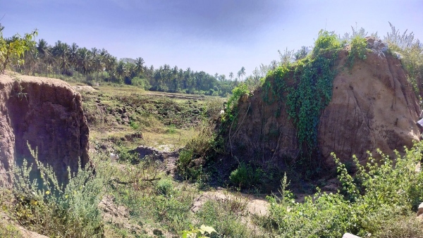 Mandya Lakes That Have Not Been Repaired Even After Two Years