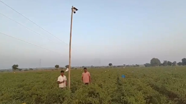 Raichur: Camera surveillance in the farm to nab the thief