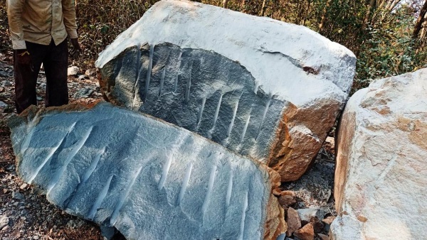 Ram Lala Idol Excavated from Mysuru Farmers Feild Is Now Installed In Ayodhya Ram Mandir