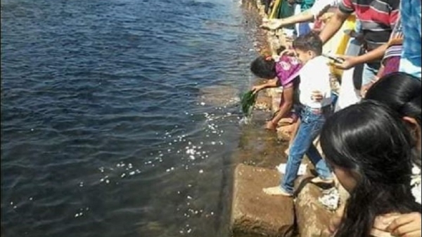 What Is The Speciality Of Arkalgud Ramanathapura Temple