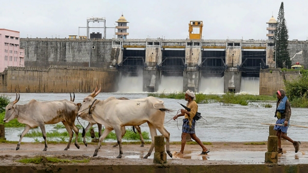 Reservoir Water Level: Karnataka Major Reservoir Water Level on January 24, 2024