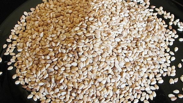 Makara Sankranti 2024: The Significance of Sesame Seeds in Sankranti Festival and Hindu Culture