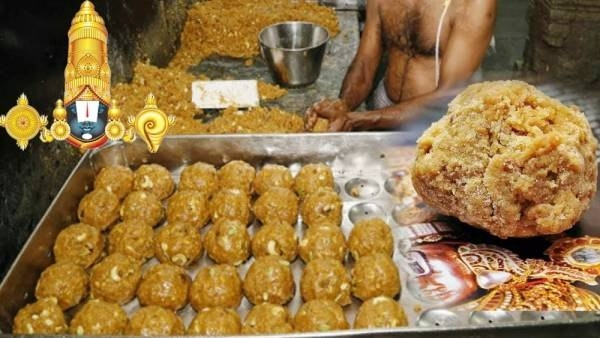 Rama Mandir Inauguration: One lakh laddus are being sent from Tirumala to Ayodhya Rama Mandir Inauguration: One lakh laddus are being sent from Tirumala to Ayodhya