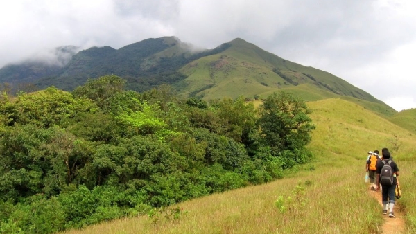  Trekkers Dump Plastic on Kumara Parvata, Karnataka Temporarily Bans Trekking Statewide