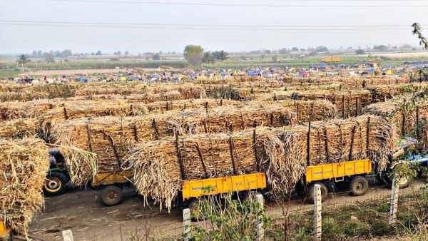  Subsidy For Agriculture Innovation Startups Conditions 