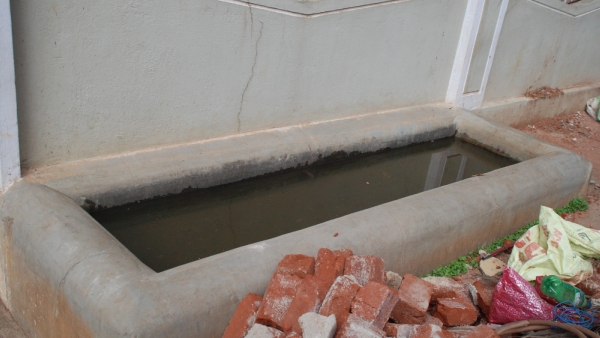 Special Event Happening In Mysore For Save Animals And Birds In Summer Days