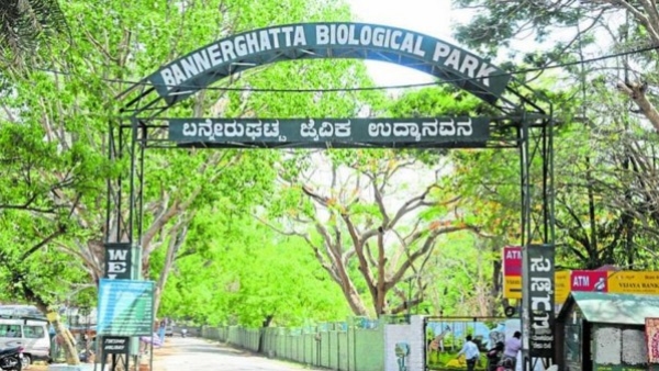  Save Bannerghatta Campaign: Stop the proposed 6-lane flyover over Bannerghatta National Park 