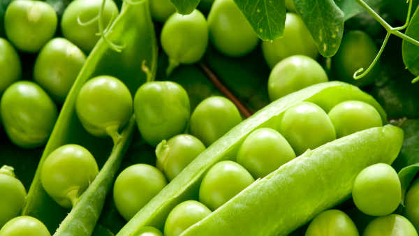 Batani Paratha Recipe: How to make peas paratha at home in kannada