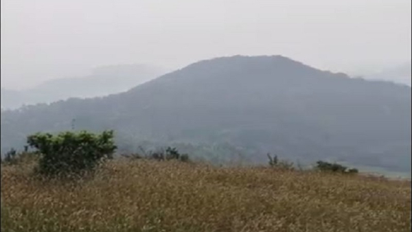 Battada Rashi Betta Is Perfect Place For Trekking In Kodagu District