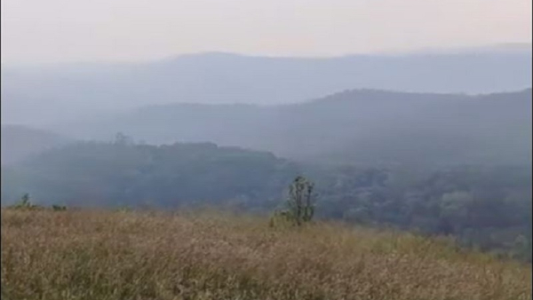 Battada Rashi Betta Is Perfect Place For Trekking In Kodagu District