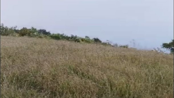 Battada Rashi Betta Is Perfect Place For Trekking In Kodagu District