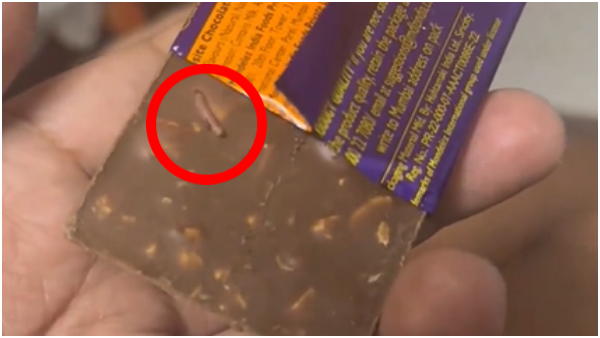 Laboratory Confirms Presence of Worms in Cadbury Chocolates After Consumers Discovery Laboratory Confirms Presence of Worms in Cadbury Chocolates After Consumers Discovery