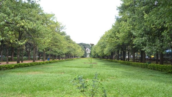 The Government Has Cancelled The Construction Of A 10-Storey Building In Cubbon Park