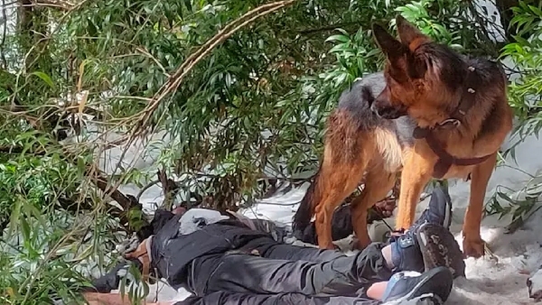 Pet Dog Guards Bodies of 2 Trekkers in Himachal For 48 Hours. Heartbreaking story