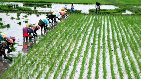 Rainfall Effect May Cause Drinking Water Shortage In Karnataka 