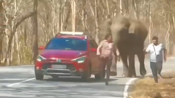 Elephant attack on passengers in Chamarajanagar district, video viral