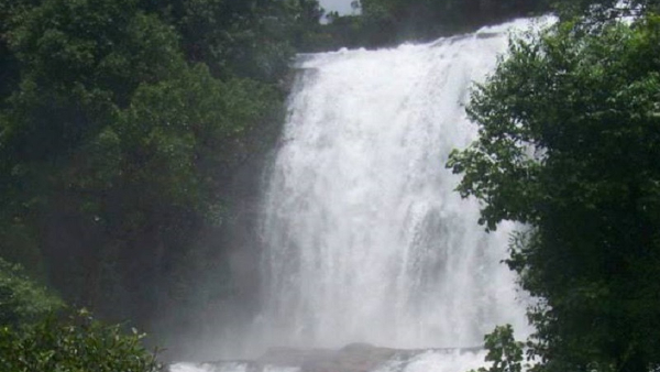 Travel News: Why Many Tourists Die In Kodagu Chelavara Falls?