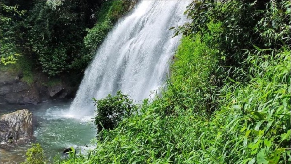 Travel News: Why Many Tourists Die In Kodagu Chelavara Falls?