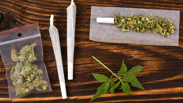 More than 2 quintal dry ganja seized near Madhuvanahalli Bypass