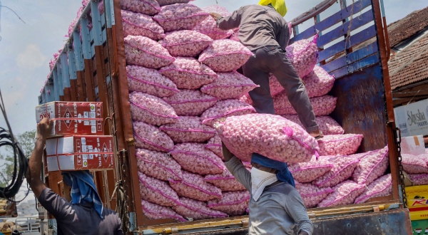 Garlic prices surge: How long will it be a burden on household budgets? 