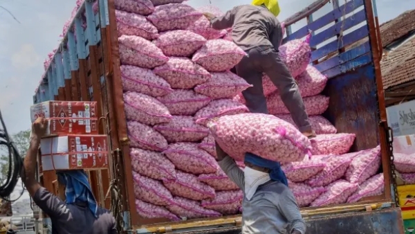 Garlic Prices Keep Going Up: Know Why Reason and Current Retail Prices