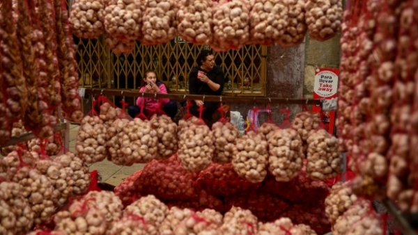 Garlic Prices Keep Going Up: Know Why Reason and Current Retail Prices