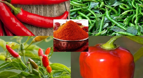 Green Chili Vs Red Chili: Which is Better for Health?