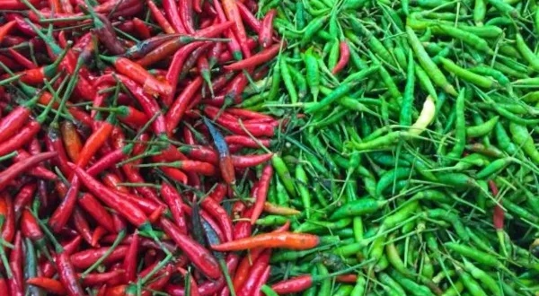 Green Chili Vs Red Chili: Which is Better for Health?