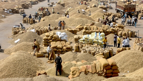 Groundnut Purchase Under Price Support Scheme Details 