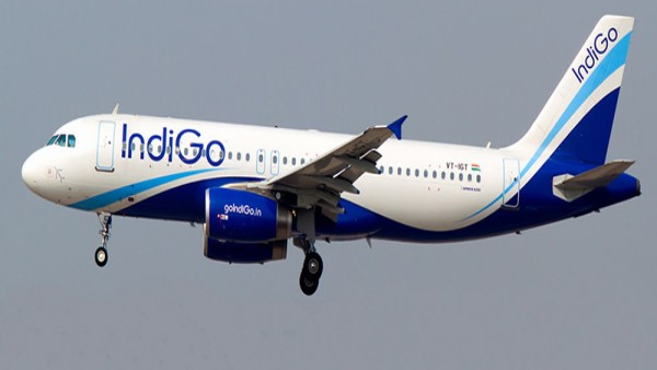 indigo