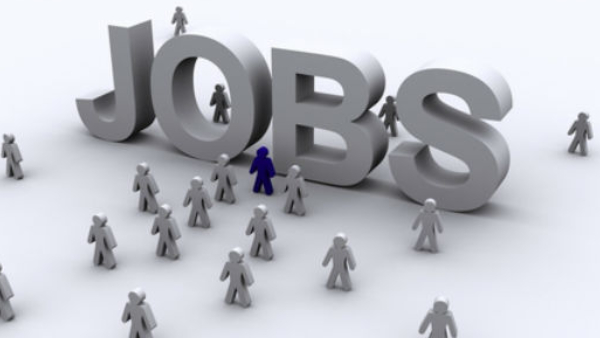 TCIL Recruitment 2024: Interested Candidates can Apply for The ICIL vacant Post, Check steps
