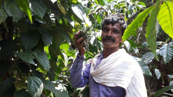 Here Is The Some Precautions For Before Using Aluminum Ladders