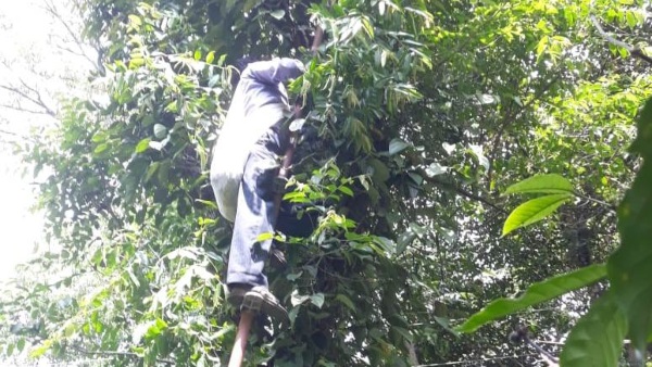 Here Is The Some Precautions For Before Using Aluminum Ladders