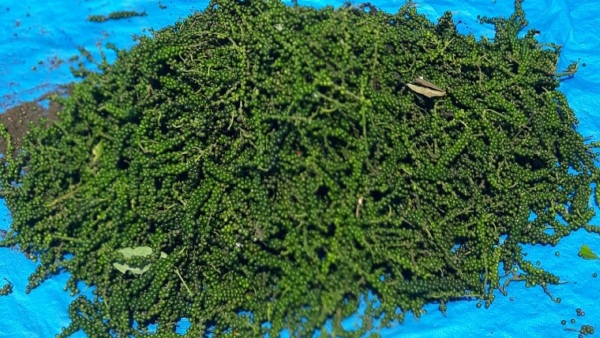 Here Is The Some Precautions For Before Using Aluminum Ladders