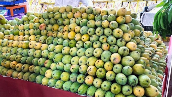 Summer Horticulture Department Tips For Farmers 