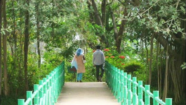 Travel: Why Mysuru Karanji Kere Is The Favorite Place For Lovers. Know more