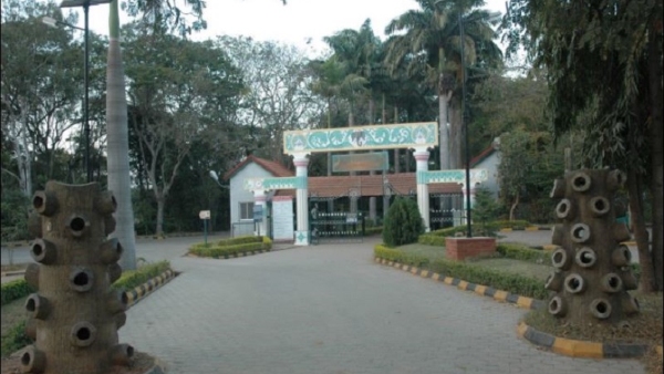 Travel: Why Mysuru Karanji Kere Is The Favorite Place For Lovers. Know more