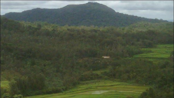 Travel News: Do You Know The Specialty Of The Pandavara Betta In Kodagu? Travel News: Do You Know The Specialty Of The Pandavara Betta In Kodagu?