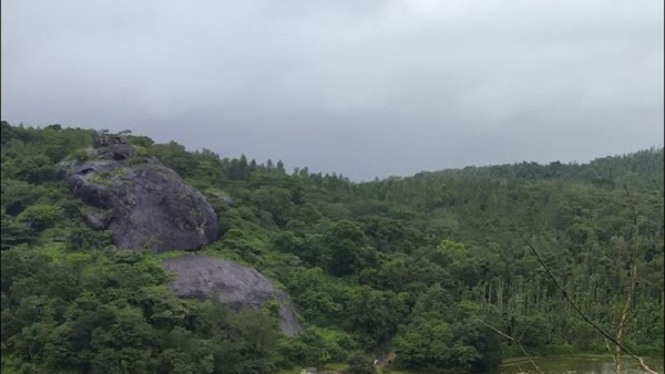 Travel News: Do You Know The Specialty Of The Pandavara Betta In Kodagu? Travel News: Do You Know The Specialty Of The Pandavara Betta In Kodagu?